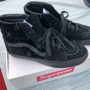 Van's SK8-Hi Pro